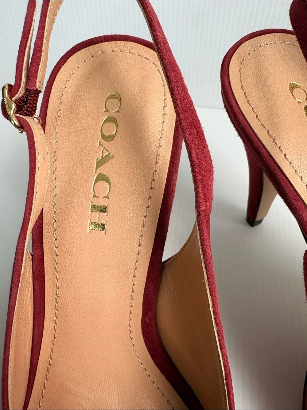 Coach size raspberry